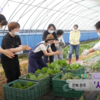 [KBS 6시 내고향] 사람을 보듬는 ‘사회적 농업’ - 전북 완주