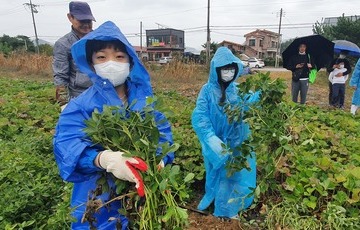 [aT로컬푸드를 활용한 사회적 경제모델 발굴 사업] 꼬마 농부의 사회적 농업 체험기